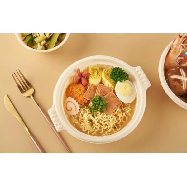 Disposable Sugarcane Plate Biodegradable Tableware Machine Molding