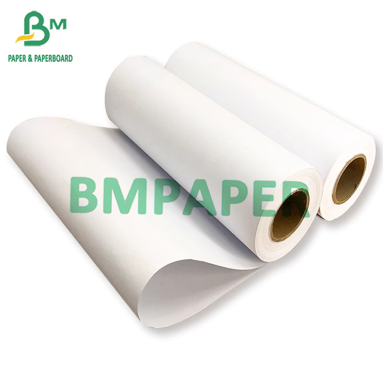 CAD Inkjet Printing Roll