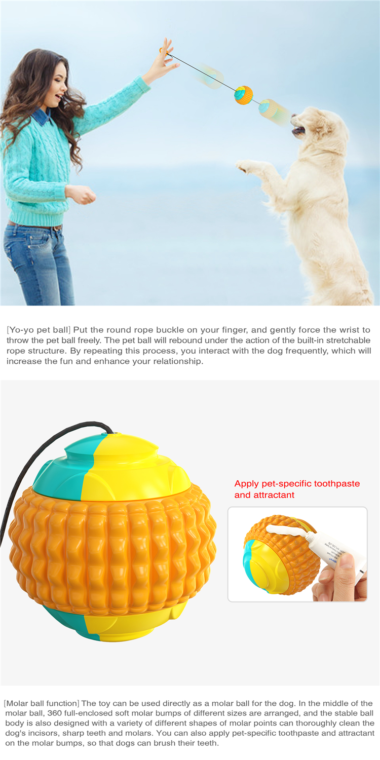 Suction Cup Push Elastic Ropes Pet Tooth Cleaning Chewing Playing Puppy Cats Indestructible Dog Toy