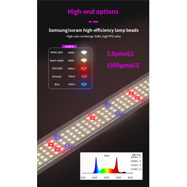 650W Full Spectrum Foldable LED Grow Light with 1950 μmol/s PPF and 3.0 μmol/J PPE for Veg Bloom