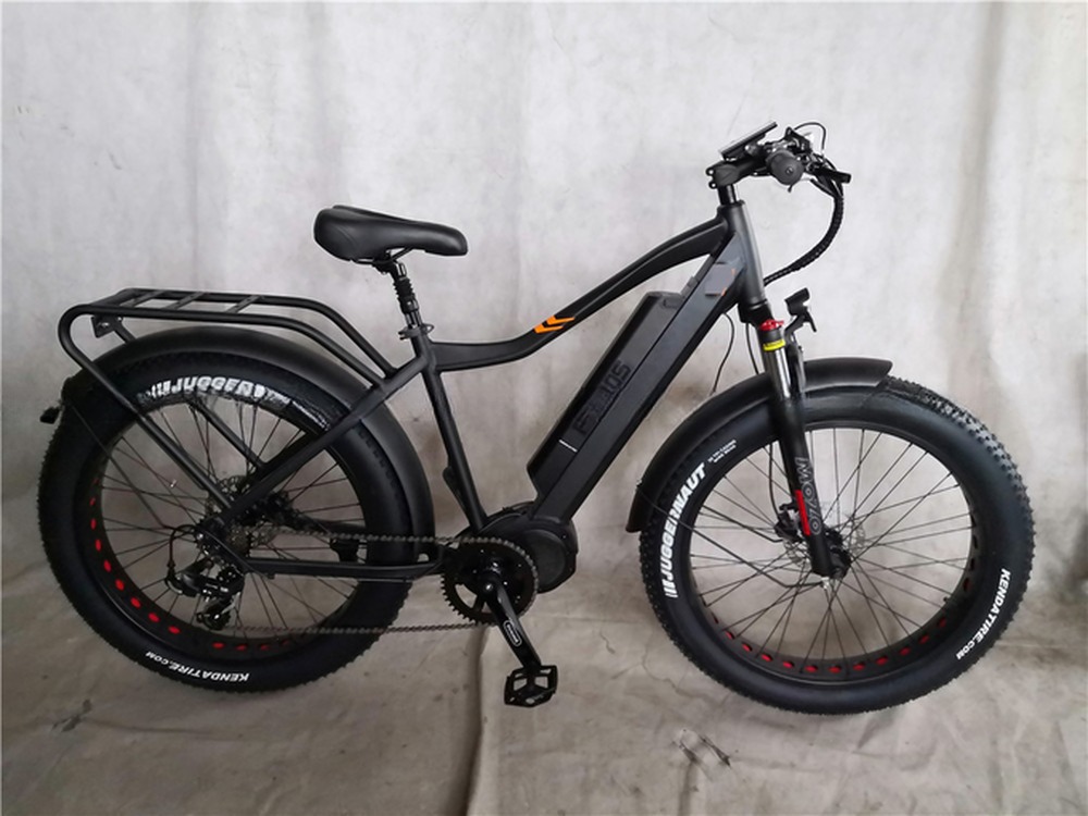 1000W 48V 34A Folding Frame Electric Cargo Bike with 20 Inch Fat Tires and Rear Carrier