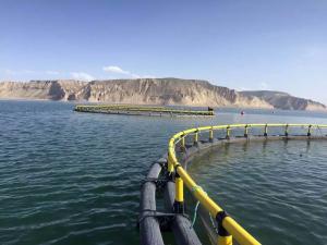 Quality HDPE Aquaculture Floating Net Cages Equipment 25m For Tilapia Fishing Farming Machinery for sale