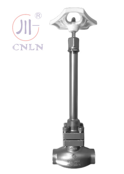 SS304/316 Cryogenic Globe Valve Long Stem-Type D(DN10-100mm) for LNG/LOX/LN2