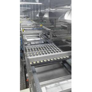 Final Proofing System Hotdog Roll Bread Proofer with insulated housing