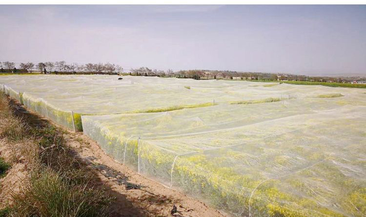 Good Quality Customized Farm Vegetable Protection Insect Mesh Insectproof Net