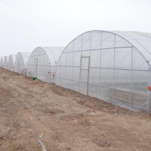 Quality Mini Greenhouse Galvanized Garden Greenhouses for Commercial Vegetable Growing for sale
