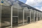 Heavy Duty Smart Cultivation Polycarbonate Greenhouse Automated Hydroponic