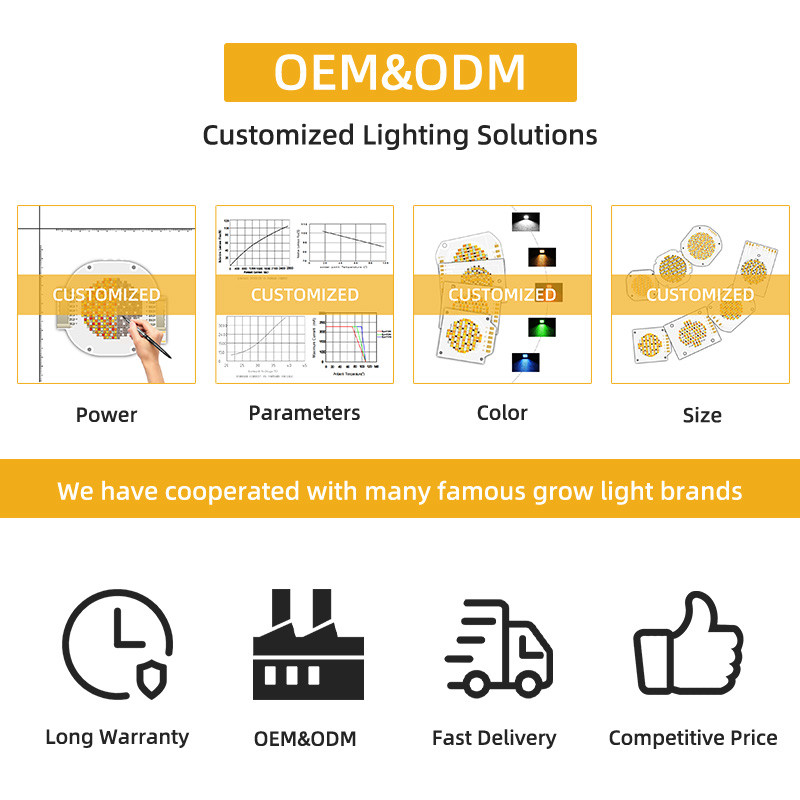 2700k 6500k Hight Efficiency 200w 4055 White SMD LED Chip Warm White Emission High Luminous