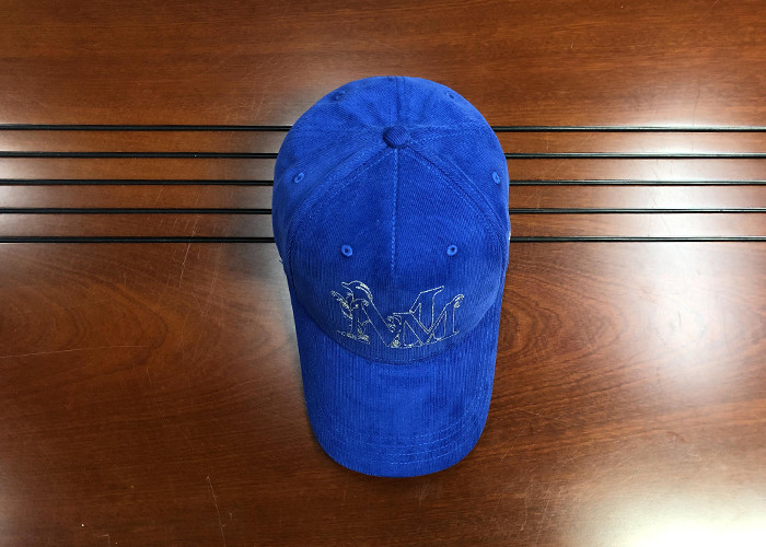 Hot Sales ACE Unisex 5 panels Blue Silk Print Logo With Flat Embroidery Logo on Left Panels Baseball Cap