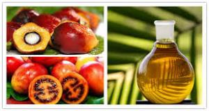 Industrial Olive Oil  Palm oil Separation Decanting Centrifuge With Spiral Solid Discharge OEM
