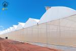 Energy Efficient Tropical Multispan Green House With Temperature And Humidity