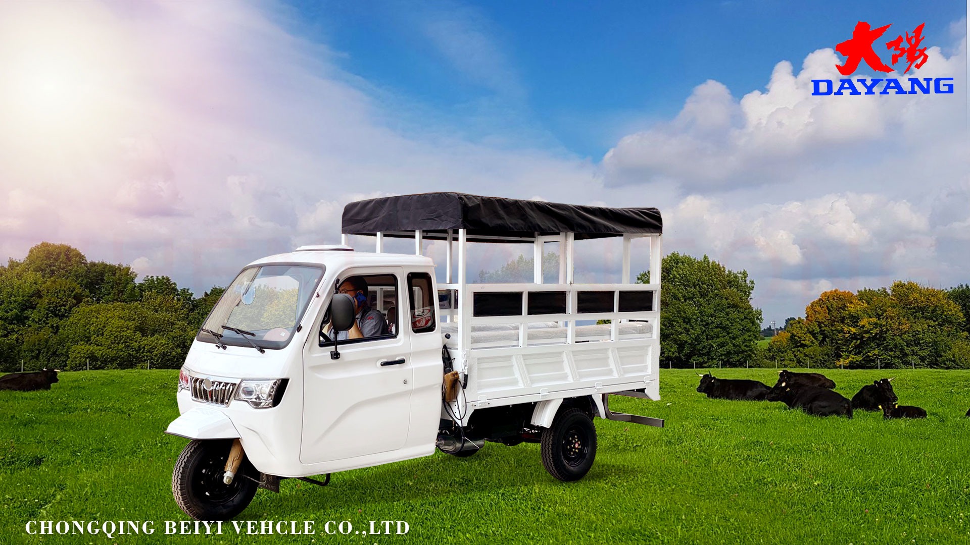 Closed Body Type 2-Seats Passenger Tricycle with Big Cargo Box and 6 3 Leaf Spring