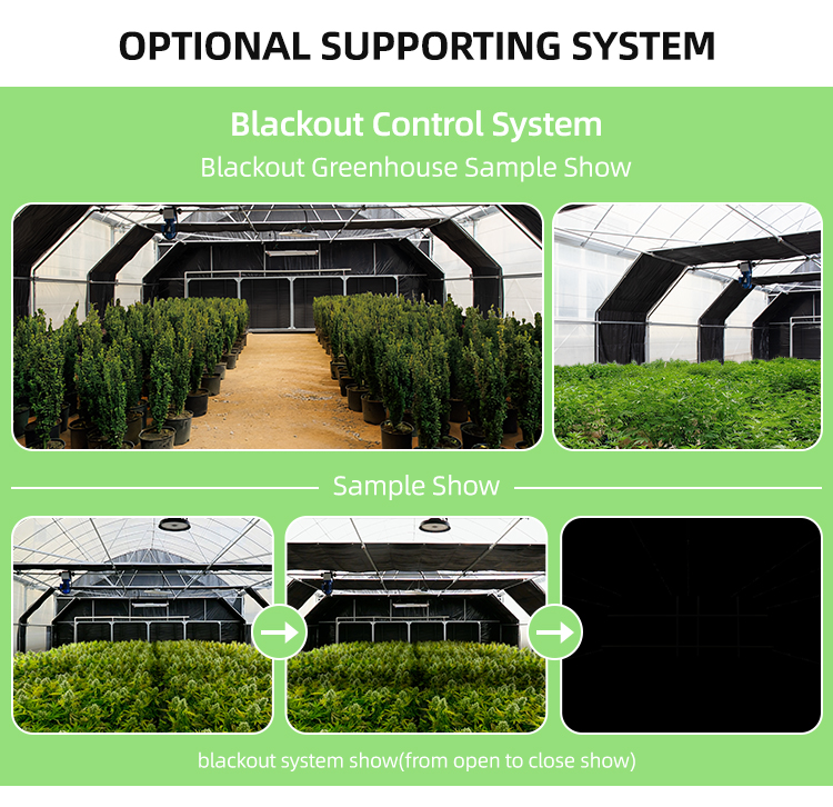 Light Deprivation Hydroponic American Greenhouse Automatic Tunnel Agriculture Film Greenhouse Blackout Greenhouse