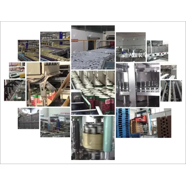 Fully Automatic Canned Seafood Production Line