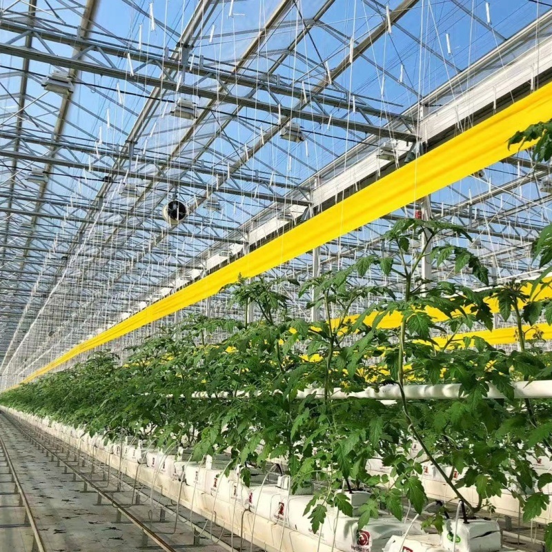 Guaranteed Quality Proper Price Intelligent Garden Glass Frame Agriculture Greenhouse Sale