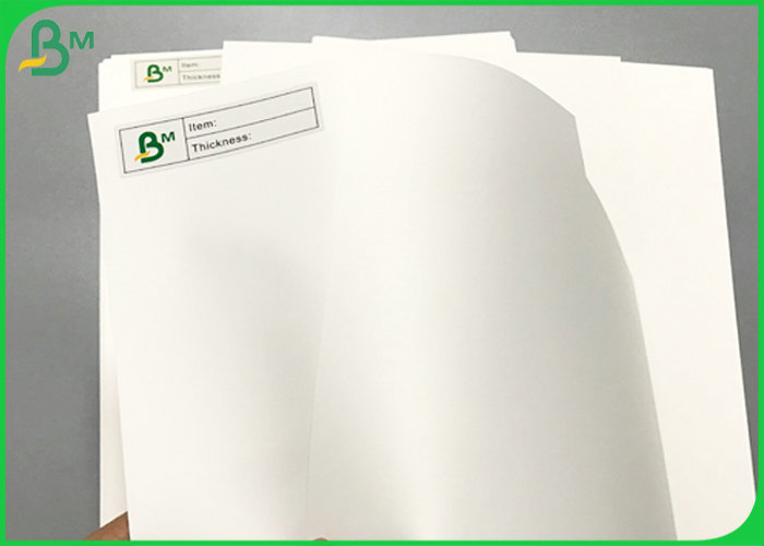 mao.ecer.com/test/bmpaper.com/supplier-214089-pe-coated-paper