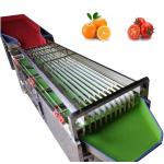 Fruits And Vegetables Sorting Machine Potato Garlic Grader Sorter For Sale