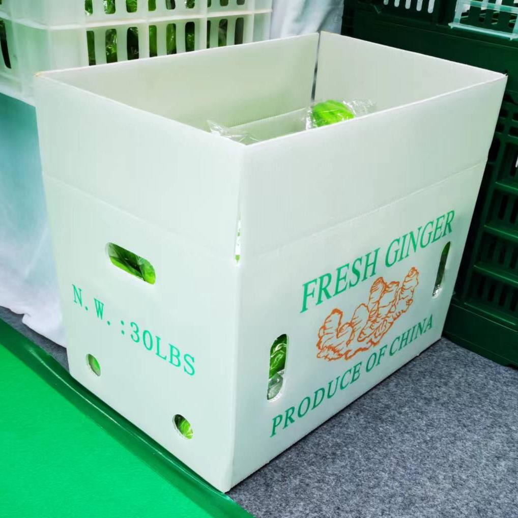 Plastic Turnover Box PP Hollow Sheet Corrugated Board Packing Bin For Vegetable