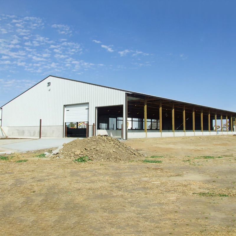 Q235B Q355B Steel Structure Cow Shed Economical Steel Frame Farm Buildings For Cow / Cattle Care