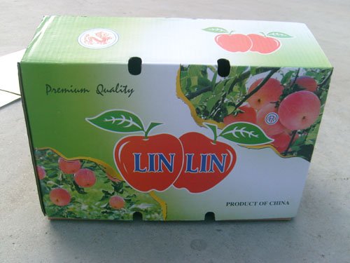 fruit_packing_box_634655046750585517_2
