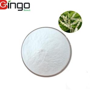China Natural Polygonum Cuspidatum Extract Herbal Medicine Resveratrol 98% Powder In High Quality on sale