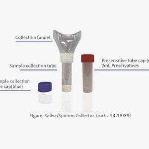 China Saliva Sample Collection Kits For Collecting Saliva Samples 10mL Collection Tube on sale