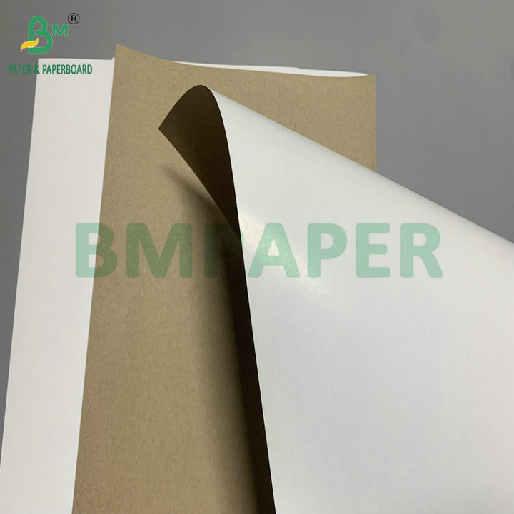 300gsm 350gsm SBS Solid Bleach Sulphate For Making Folding Carton 