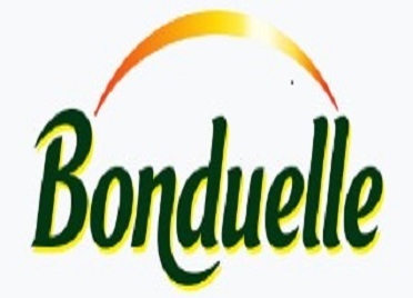 ODM Automated 80 Packs Per Hour Heat Shrink Film Packaging Machine Packer Shrink Wrap Machine For Bottled Water Production Line