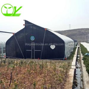 Quality Single-Span Agricultural Greenhouse Mini Mushroom Greenhouse with Optional Irrigation for sale