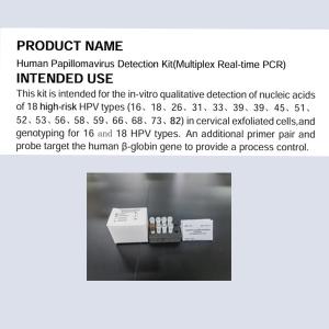 Quality Human Papillomavirus Detection Kit Multiplex Real Time PCR for sale