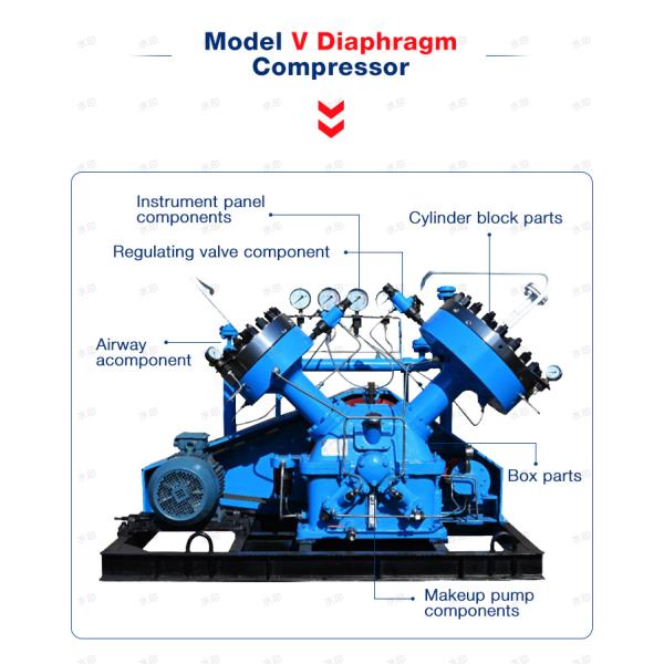 Diaphragm Compressor Gas Air Hydrogen High Purity Hydrogen H2 Helium Compressor Powerful Oil Free Diaphragm Compressor