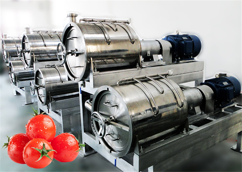 Onion Garlic Ginger Paste 60T/D Tomato Processing Line