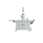 Pizza Snacks Processing Machine Dough Presser Pie Molding Machine