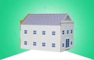 Quality 4C printing 350gsm CCNB B Flute Corrugated Cardboard House for sale