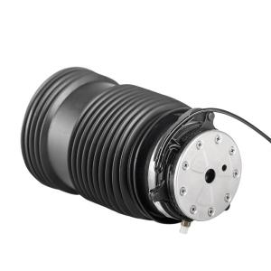 Quality A2133200125 A2133200225 Air Suspension Spring For Mercedes W213 for sale