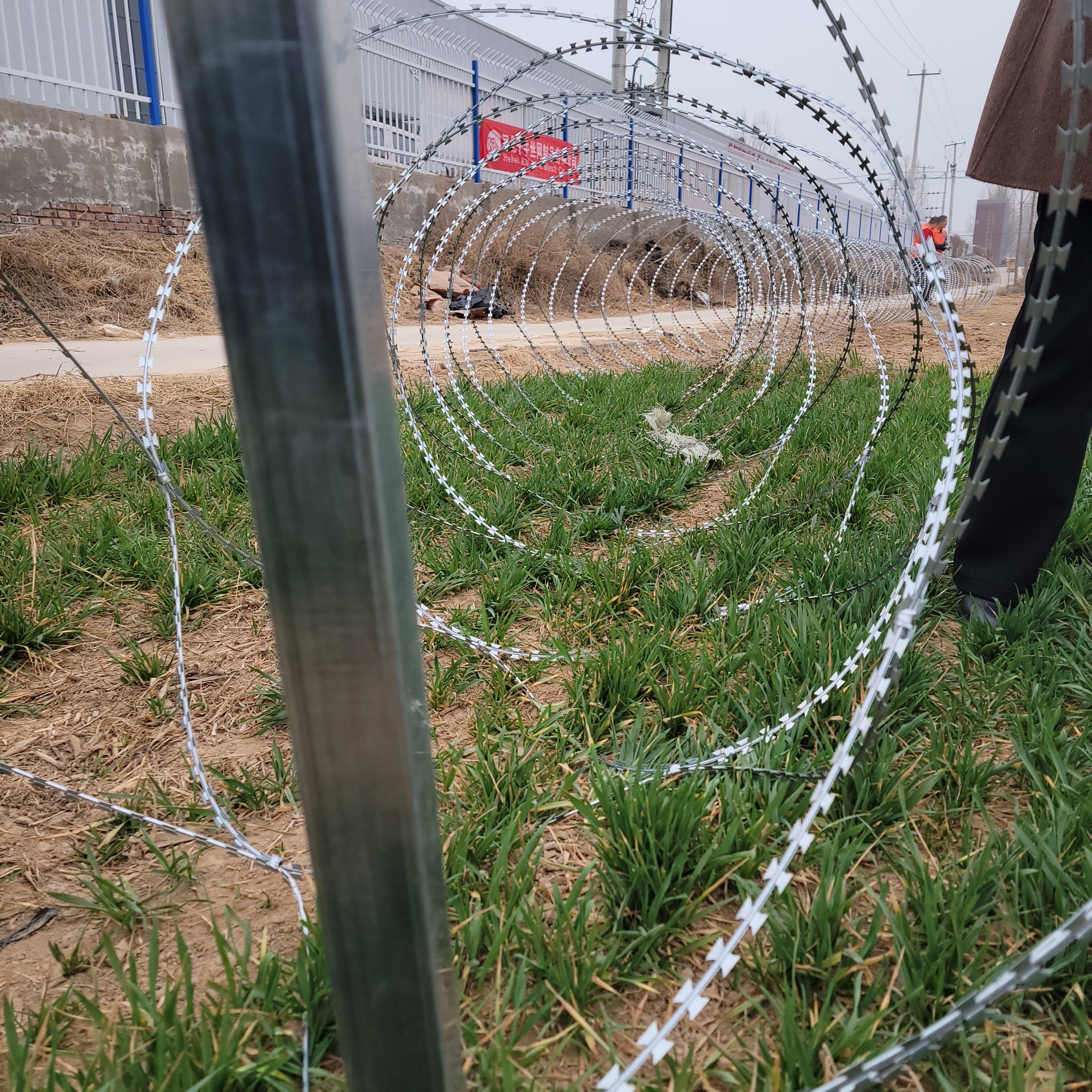 BTO-22/CBT-65 Single Razor Barbed Wire Coil 500MM Blade Stainless Steel Wire Good Price For Fence