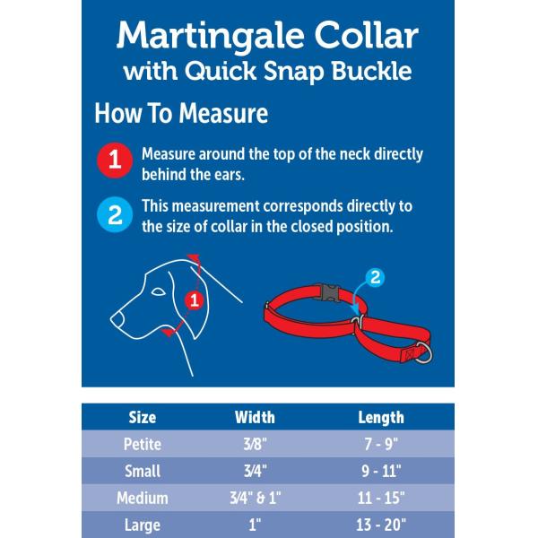 Martingale Soft Nylon Dog Collar With Quick Snap Buckle