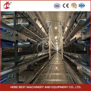 China Automatic Poultry Farm Equipment With Automatic Feeding System Rose on sale