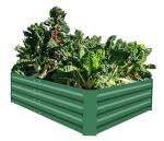 Pest Prevention 8x4ft Raised Metal Garden Bed