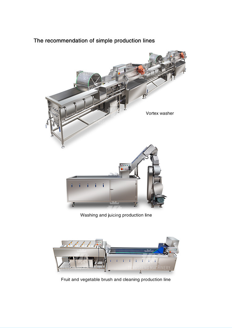 Multifunction Onion Slicer Vegetable Cutting Machine 100KG/H Capacity