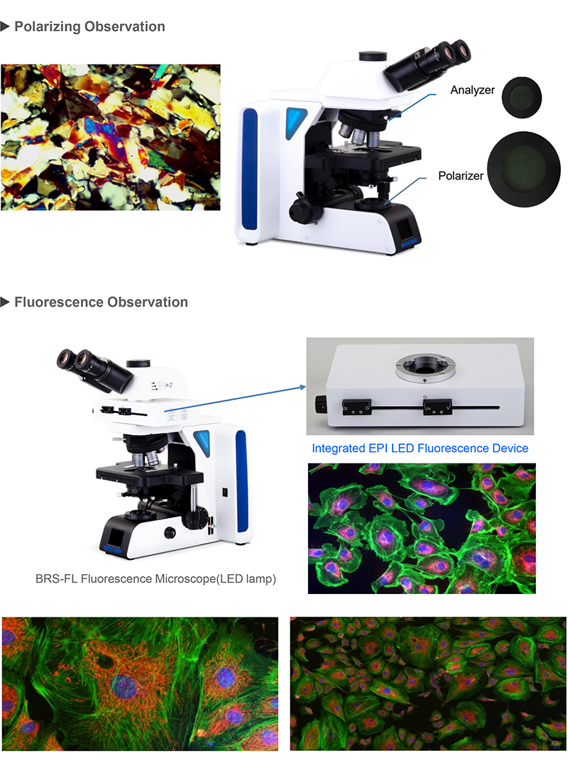OPTO EDU A12.2610 Laboratory Biological Microscope