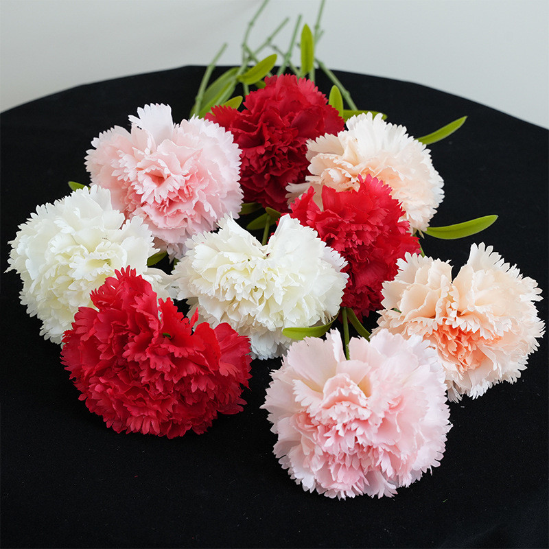 Simulated Single Branch Kangnaixin Mother's Day Gift Simulated Flower High end Silk Flower Home Decoration Flower
