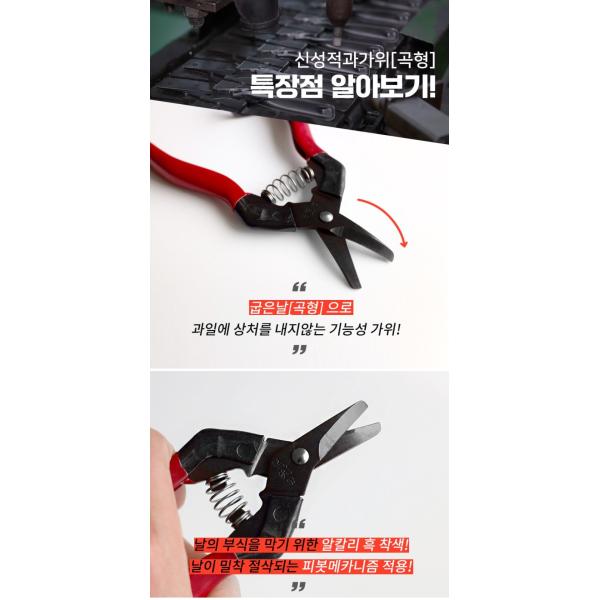 SK5 Carbon Steel Blade Tree Pruning Shears Ultra Sharp