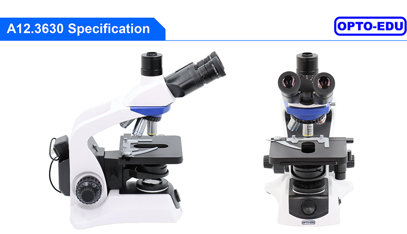 OPTO-EDU A12.3630 1000x Trinocular Biological Microscope