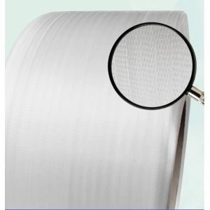 Packaging Machinery 5-15mm High Speed ​​PP Strapping Production Line PP