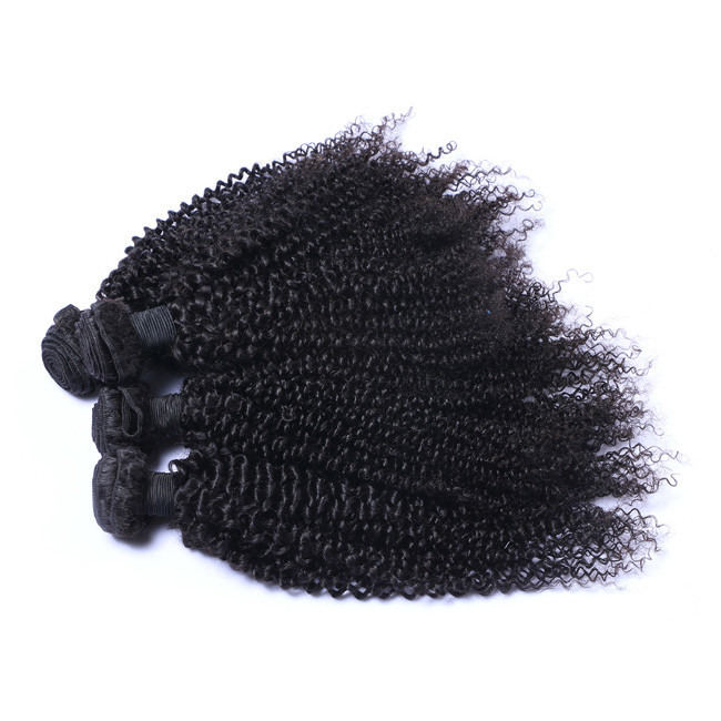Brazilian Virgin Kinky Curly Raw Hair Bundles Cuticle Aligned 10A Grade