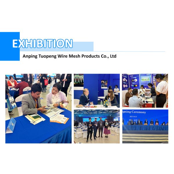 PVC Coated 3D Bent Metal Fence Galvanized Welded Wire Mesh Fence Panel