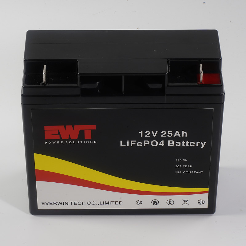 Lifepo4 Battery Pack 12V 25Ah Lithium Iron Phosphate Battery With Smart BMS