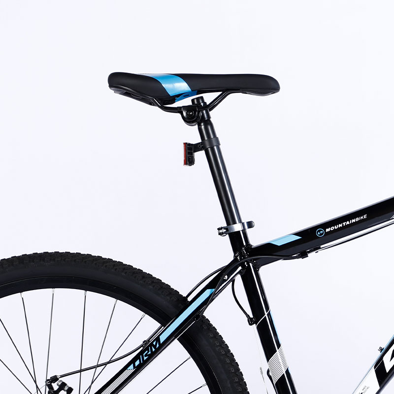 Sport Bike Customized Color Logo Customized Logo Cycle Mountain Bike