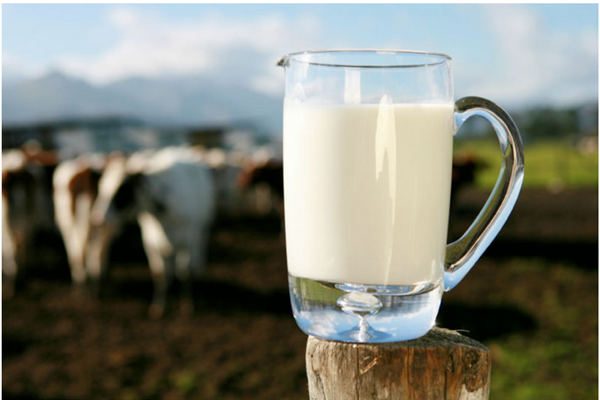 Manual Solid Discharge Disc Stack Centrifuge Separator For Milk Cream Separation